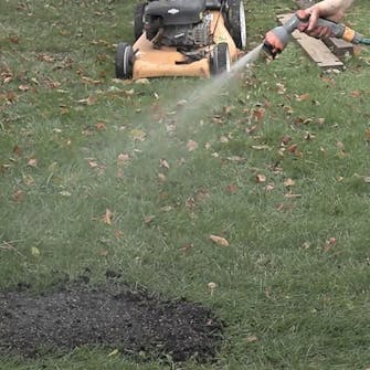 Jämn gräsmatta Jämn gräsmatta